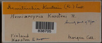 Image Associated With the Occurence